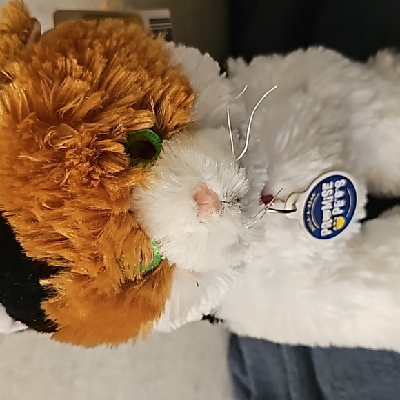 Build-A-Bear Calico Maine Coon - Picture 2 of 4